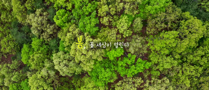 1.꽃, 세상이 열린다